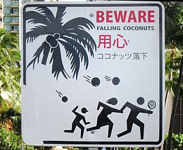 260px-'BEWARE_FALLING_COCONUTS'_sign_in_Honolulu,_Hawaii